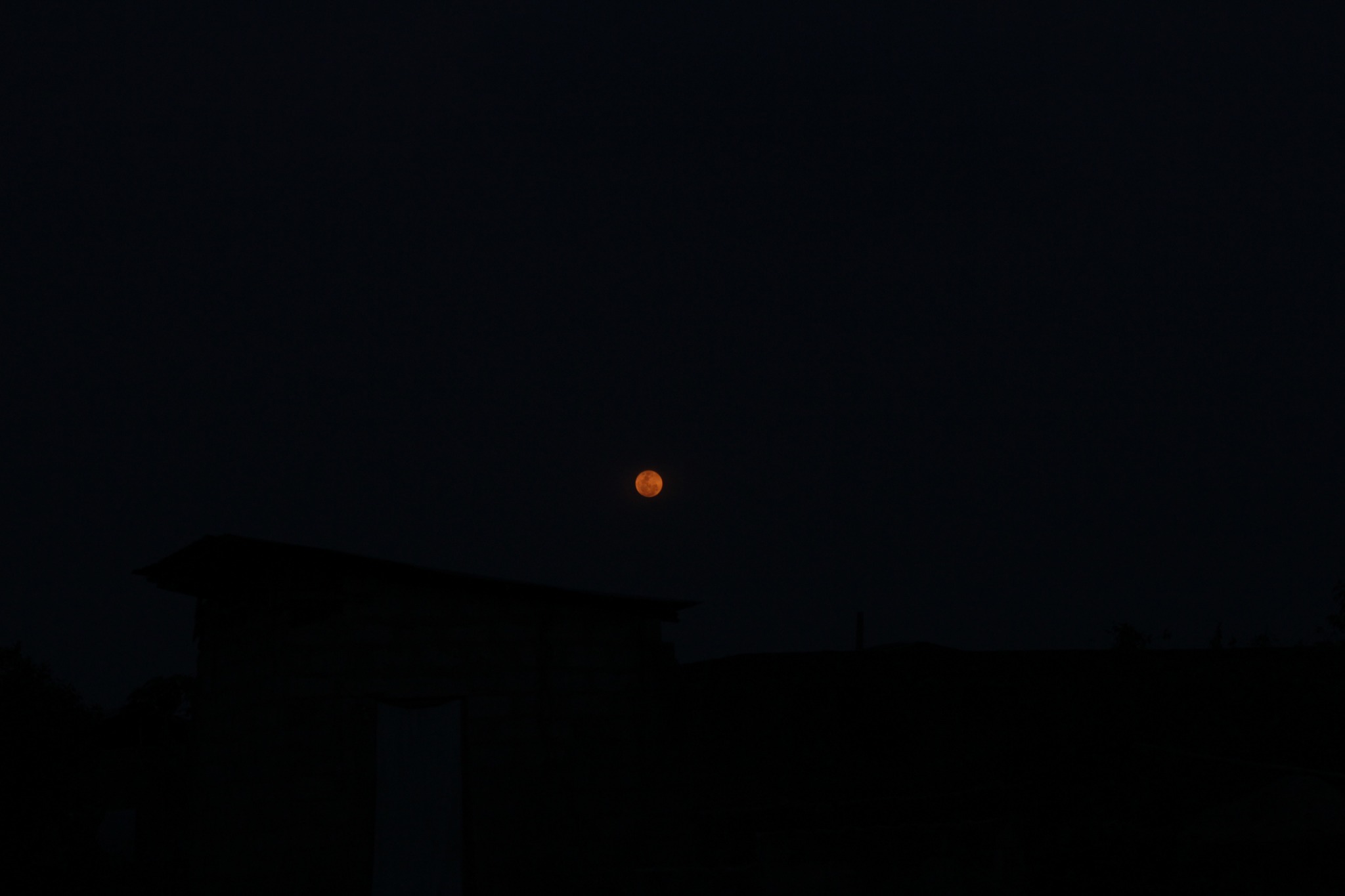 A small defiance of Darkness (1)